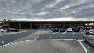 IMG_6401.jpeg