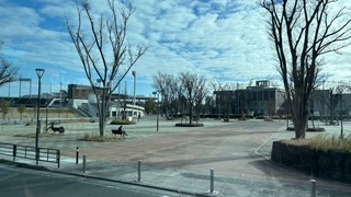 IMG_6408.jpeg