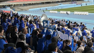 IMG_6424.jpeg