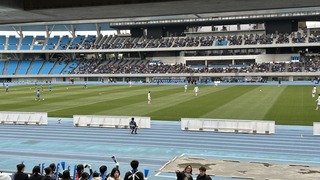 IMG_6426.jpeg