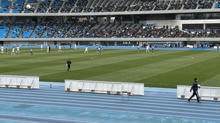 IMG_6461.jpeg