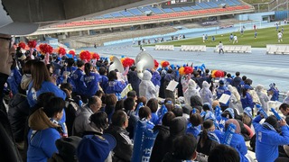 IMG_6465.jpeg