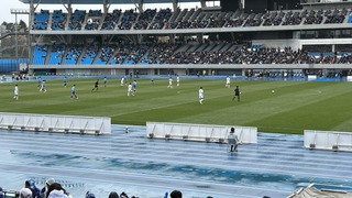 IMG_6496.jpeg