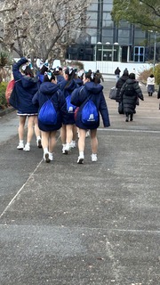 IMG_6517.jpeg