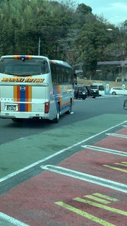IMG_6529.jpeg
