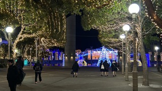 IMG_6541.jpeg
