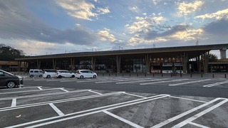 IMG_6559.jpeg