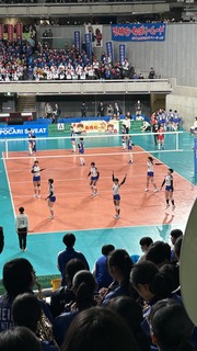 IMG_6587.jpeg