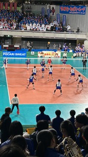 IMG_6590.jpeg