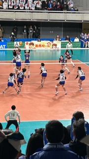 IMG_6597.jpeg