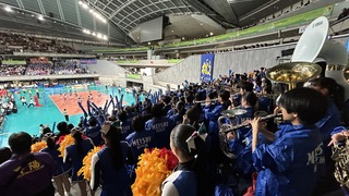 IMG_6600.jpeg
