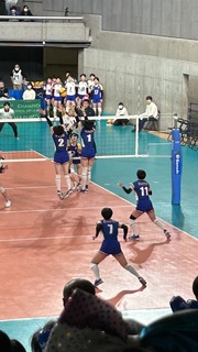 IMG_6602.jpeg