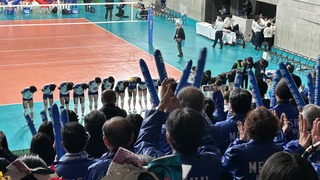 IMG_6616.jpeg