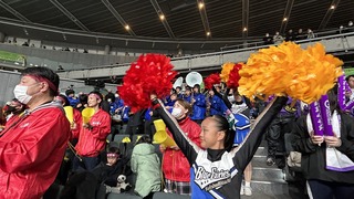 IMG_6621.jpeg