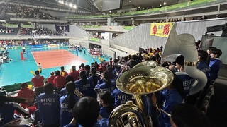 IMG_6628.jpeg