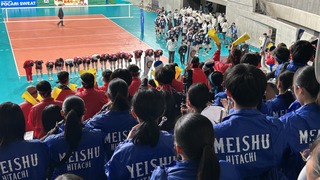 IMG_6638.jpeg