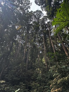 IMG_6737.JPG