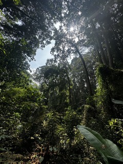 IMG_6738.JPG