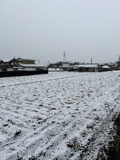 IMG_6794.JPG