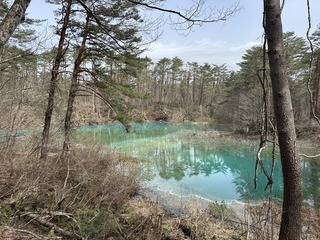 IMG_6973.JPG