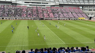 IMG_7424.jpeg