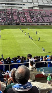 IMG_7433.jpeg