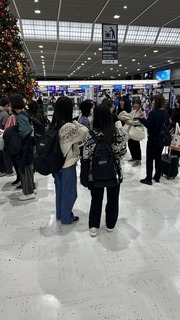 IMG_7526.jpeg