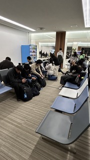 IMG_7544.jpeg
