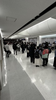 IMG_7547.jpeg