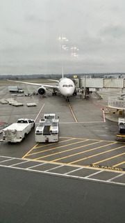 IMG_7562.jpeg