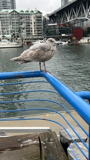 IMG_7589.jpeg