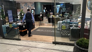 IMG_7648.jpeg
