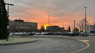 IMG_7832.jpeg