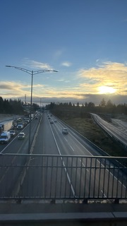 IMG_7837.jpeg