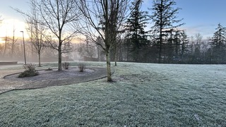 IMG_7838.jpeg