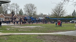 IMG_7887.jpeg