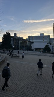 IMG_7981.jpeg