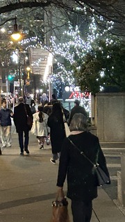 IMG_7992.jpeg