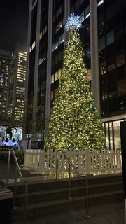 IMG_8025.jpeg
