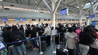 IMG_8073.jpeg