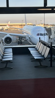 IMG_8103.jpeg
