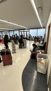 IMG_8108.jpeg
