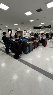 IMG_8111.jpeg