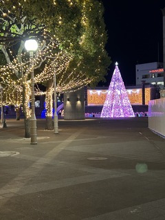 IMG_8136.JPG