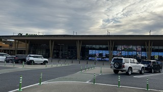 IMG_8163.jpeg