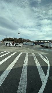 IMG_8166.jpeg