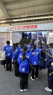 IMG_8173.jpeg