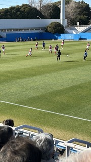 IMG_8190.jpeg