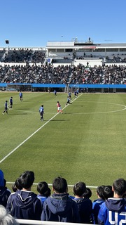 IMG_8192.jpeg