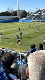 IMG_8194.jpeg